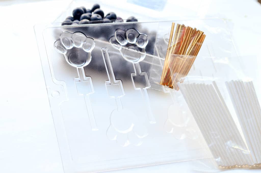 zootopia-blueberry-paw-sicles